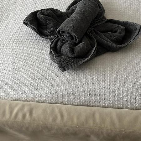 Aquavilla Bed & Breakfast Willebroek Buitenkant foto
