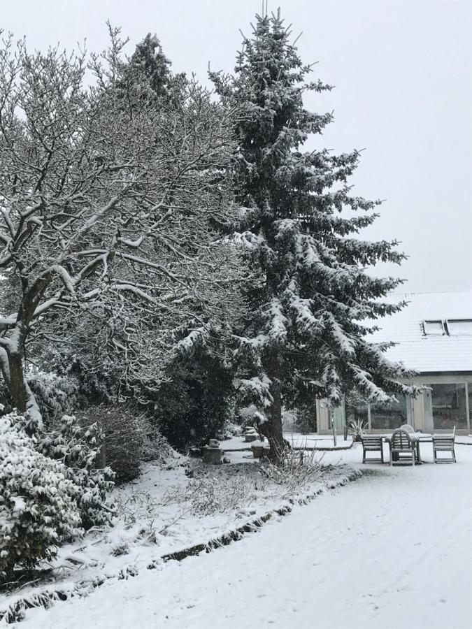 Aquavilla Bed & Breakfast Willebroek Buitenkant foto