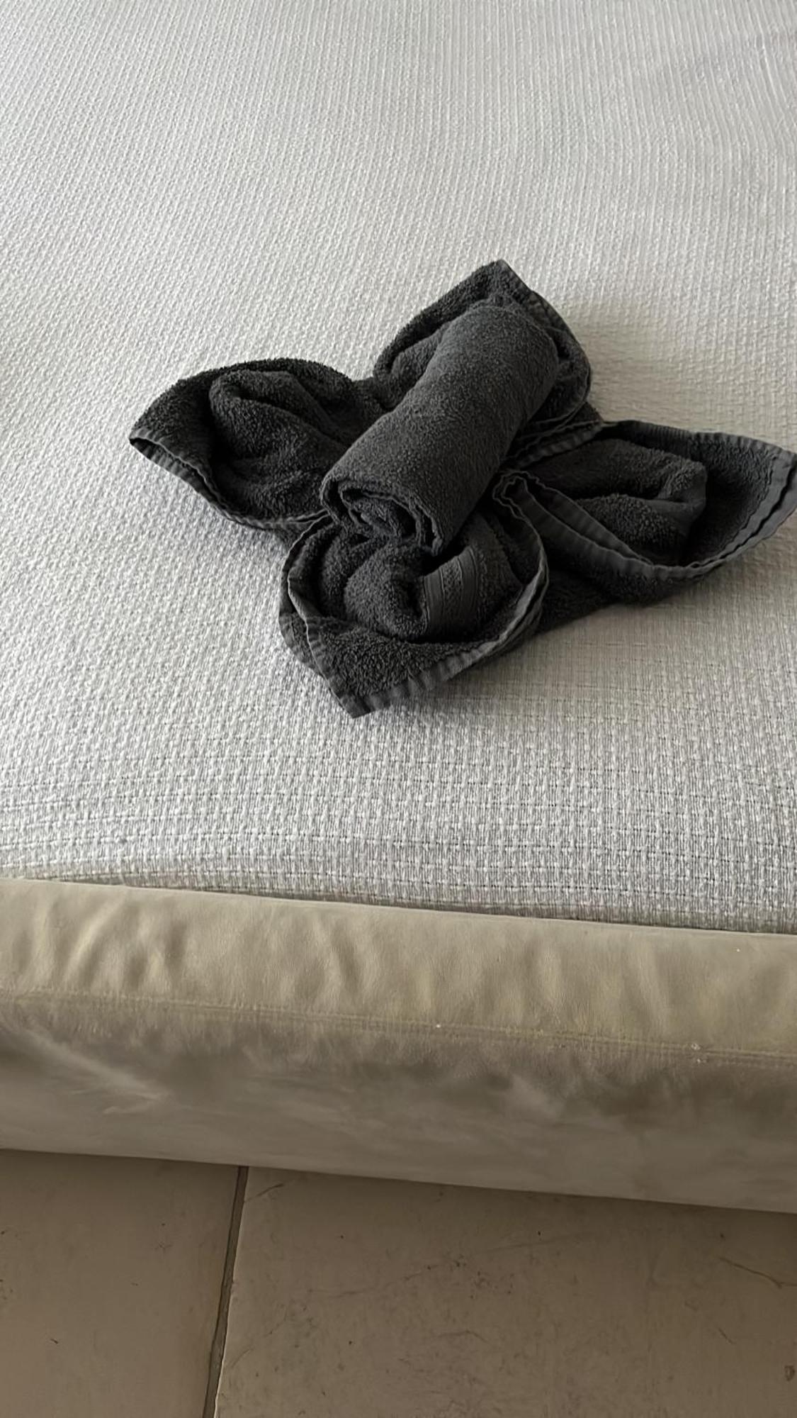 Aquavilla Bed & Breakfast Willebroek Buitenkant foto